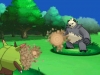 pokemon_xy-4