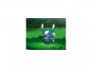 pokemon_xy-54
