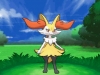 pokemon_xy-7