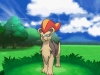 pokemon_xy-75