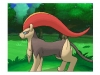 pokemon_xy-78