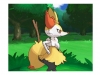 pokemon_xy-8