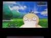 pokemon_xy-10