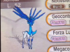 shiny-xerneas