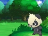 pokemon_x_y-24