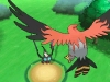 Talonflame screenshot 2