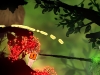 puddle-15
