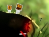 puddle-2