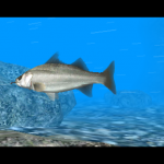 reel_fishing_paradise_3d-2