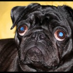 421990057_159d0760d9