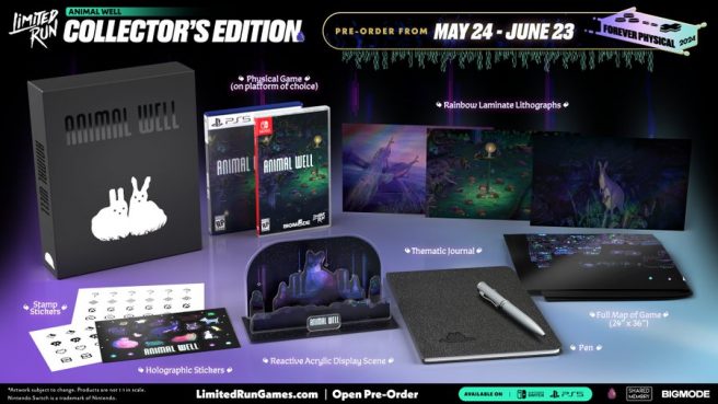 Animal Well physical