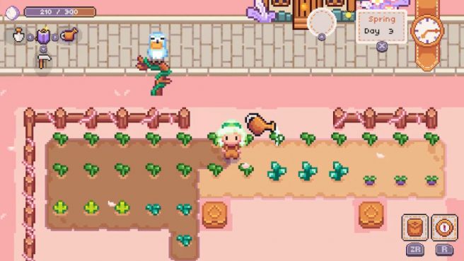 Ashwood Valley trailer