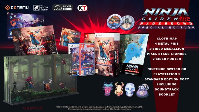 Ninja Gaiden Ragebound physical