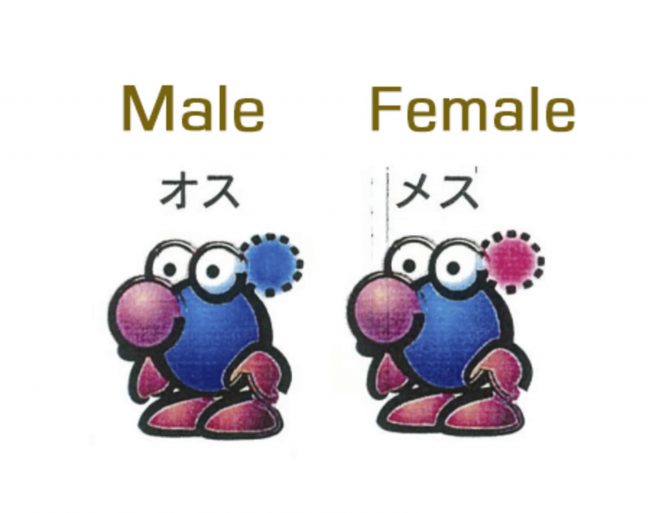 Pikmin origins concept art N64