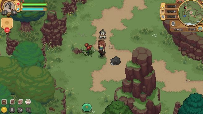 Potion Permit release date