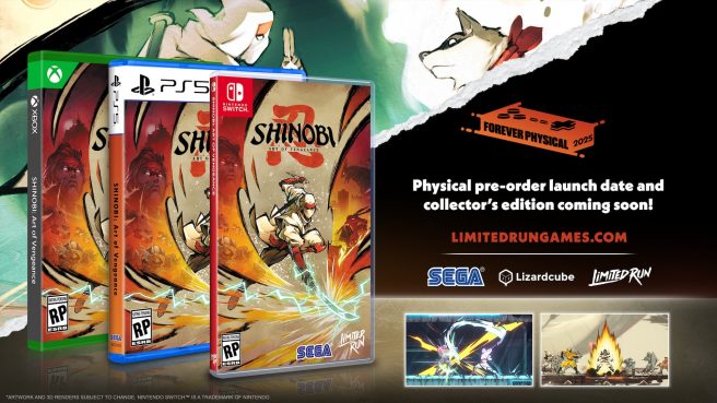 Shinobi Art of Vengeance physical