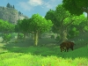 WiiU_TheLegendofZeldaBreathoftheWild_E32016_background_12