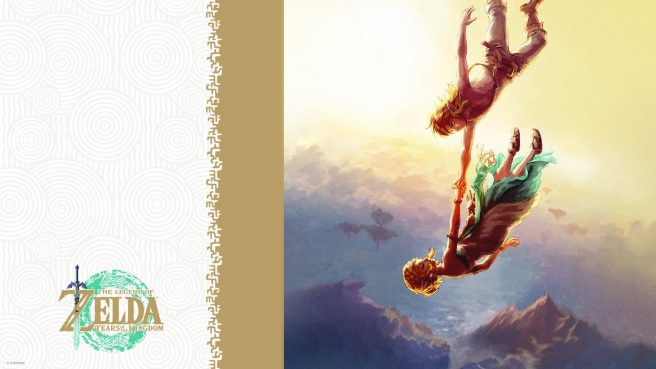 Zelda Tears of the Kingdom anniversary messages