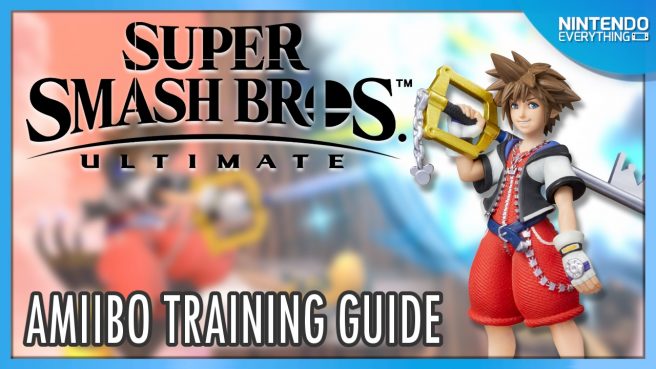 amiibo training guide