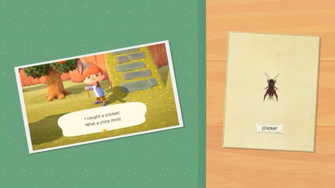 Animal Crossing: New Horizons