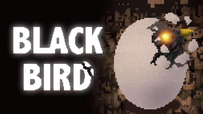 Black Bird