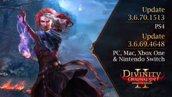 Divinity: Original Sin 2 - Definitive Edition
