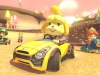NintendoSwitch_MarioKart8Deluxe_Presentation2017_scrn15_bmp_jpgcopy