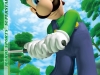 mario-sports-superstars-25