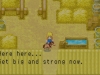 WiiU_VC_HarvestMoonMoreFriendsofMineralTown_04