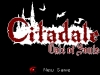 WiiU_Citadale_05