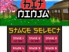 3DS_HitNinja_01