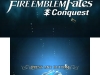 N3DS_FEF-Conquest_gameplay_02
