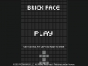 WiiU_BRICKRACE_01