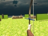 WiiU_ArcherybyThornburySoftware_06