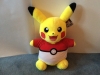 pokemon-pikachu-1