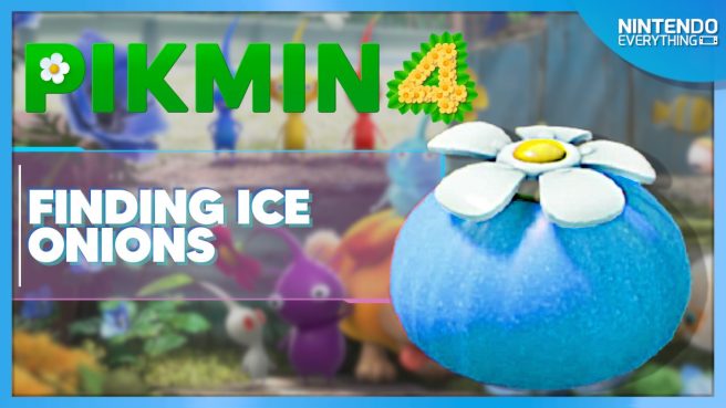 pikmin 4 ice onion location