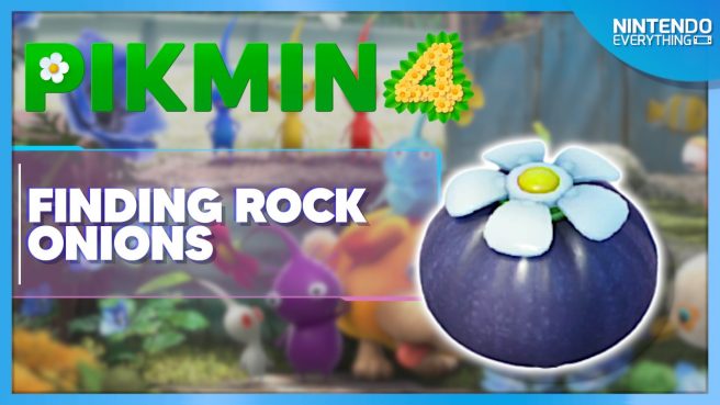 pikmin 4 ice onion location