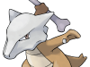 Marowak_RGB_72dpi