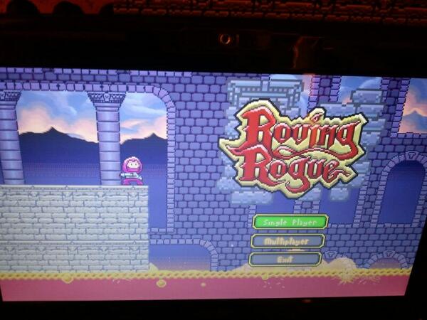 Roving Rogue Wii U