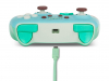 animal-crossing-controller-16