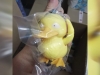 BurgerKing-KidsMeal-DetectivePikachu-Toy-7