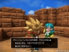 dragon-quest-builders-2-8