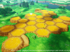 dragon_quest_x_Puku_Land_Continent_3-1