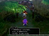 Dragon_Quest_X_Offline_Wena_Islands_16-1