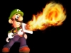 3DS_LuigisMansion_char_11_png_jpgcopy
