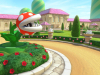 Switch_MK8D_BCP_PeachGardens_screen_02