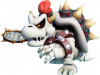 dry-bowser