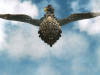 MHST2_Bazelgeuse_bmp_jpgcopy