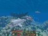 minecraft-aquatic-2