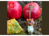 animal_crossing_tom_nook_my_nintendo_keychain_3